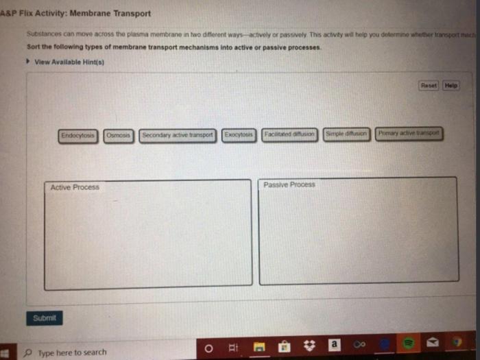 A&p flix activity membrane transport