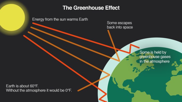 What's the greenhouse effect weegy