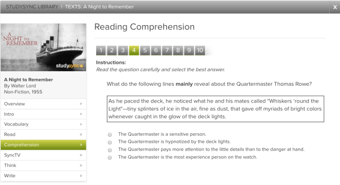 The story of a vision studysync answers