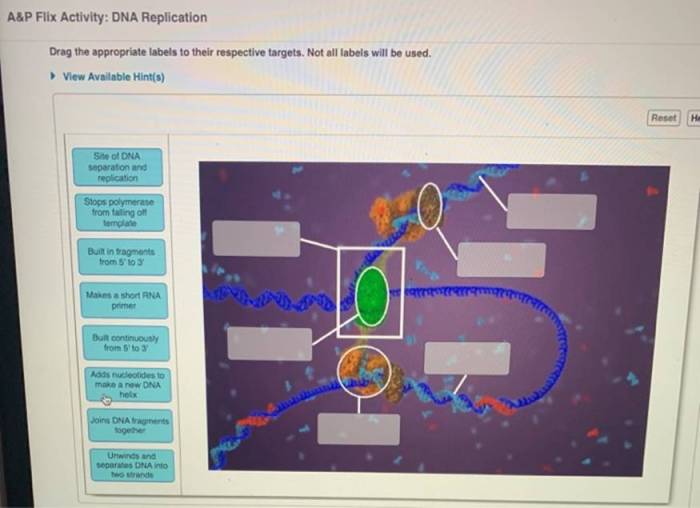 A&p flix activity membrane transport