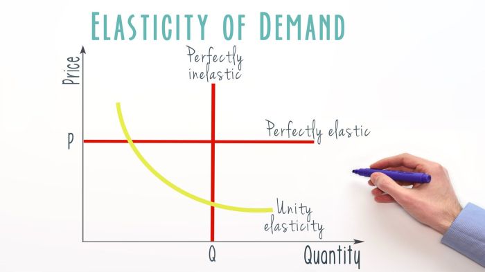 Price elasticity of demand worksheet