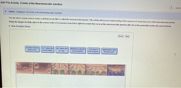 A&p flix activity membrane transport