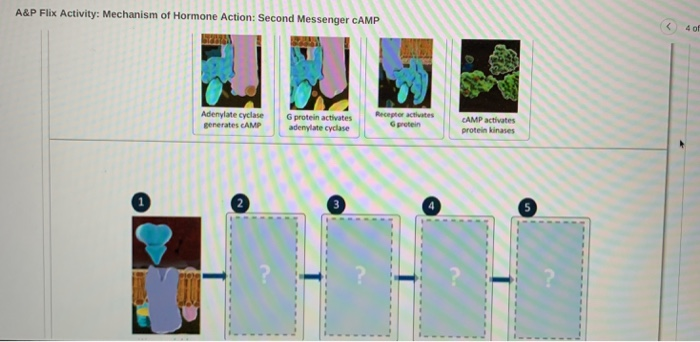 Flix replication physiology cure maand col answers