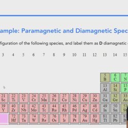 Is c2+ paramagnetic or diamagnetic