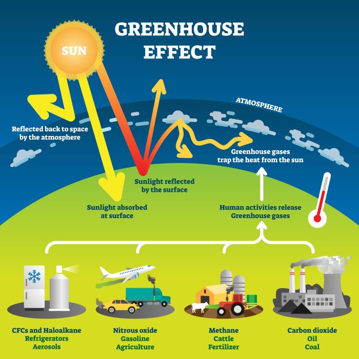 What's the greenhouse effect weegy