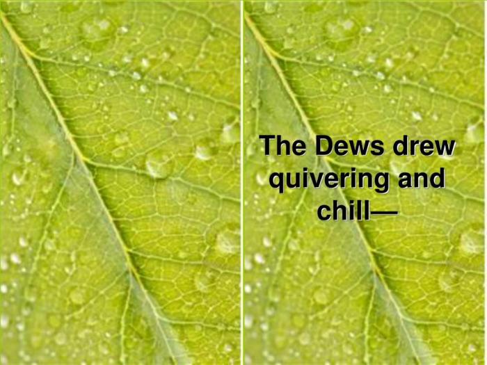 The dews drew quivering and chill meaning