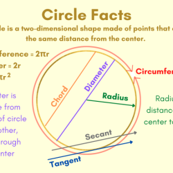 Justifying circumference and area of a circle answer key