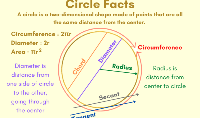 Circles area and circumference coloring activity