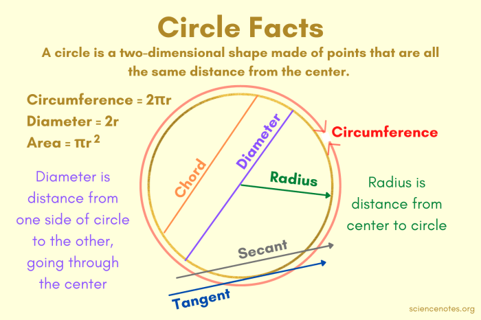 Circles area and circumference coloring activity