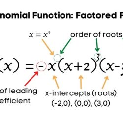 Polynomials and polynomial functions unit test part 1