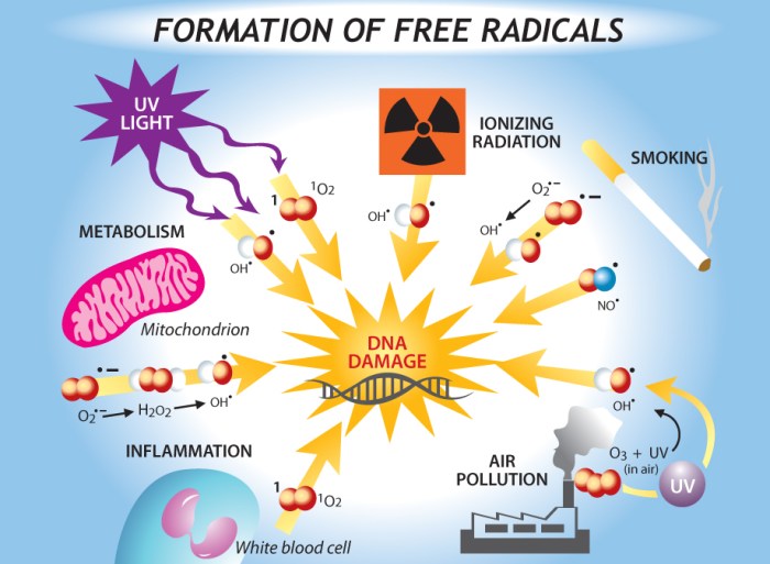 The study of the nonphysical aspects of the aging process.