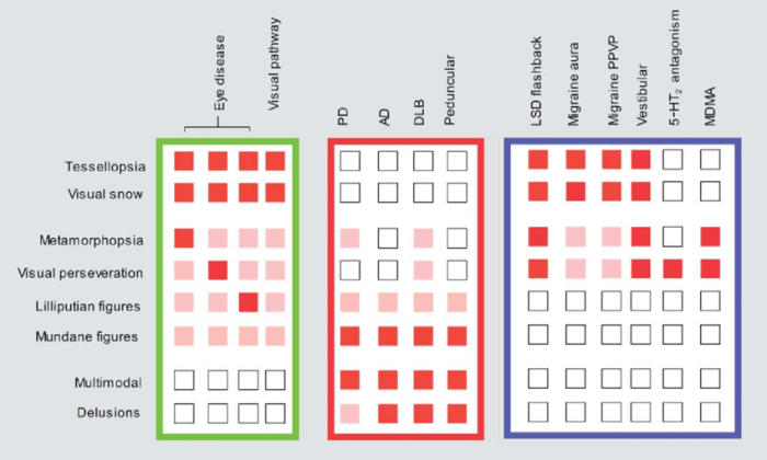 Perceptual phenomena are best understood as a combination