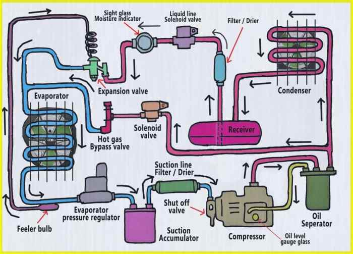 Which invention was most important in revolutionizing the meat industry